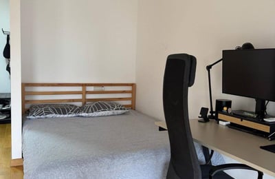 Аренда современной 1-комнатной квартиры, 42 м², район Земун, Белград, Сербия